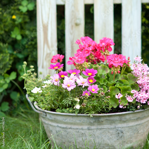 Photo: Blechwanne mit Blumen Blechwanne mit Blumen