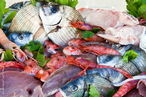 Photo: pesce fresco in pescheria pesce fresco in pescheria