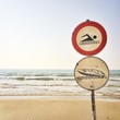 beach signal beach signal