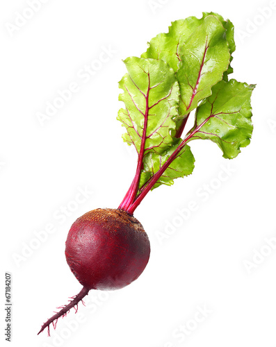 Photo: Beetroot with leaves Beetroot with leaves