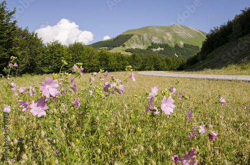 Photo: Paesaggio estivo al Monte Catria Paesaggio estivo al Monte Catria