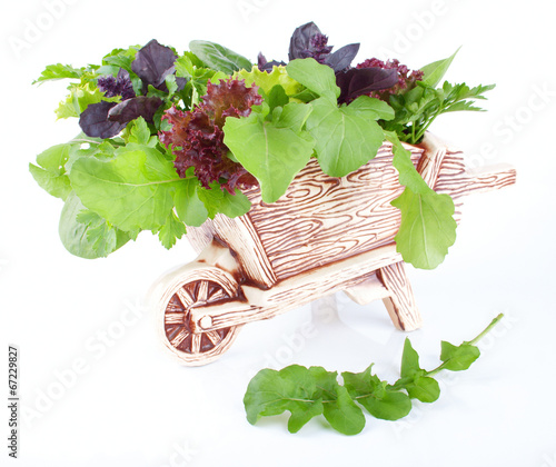 Photo: Decorative cart with the healthy greens Decorative cart with the healthy greens