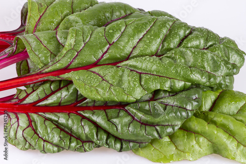 Photo: Red Swiss chard Red Swiss chard