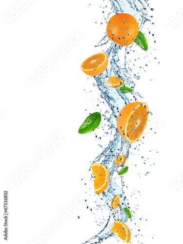 Fototapeta Oranges with water splash