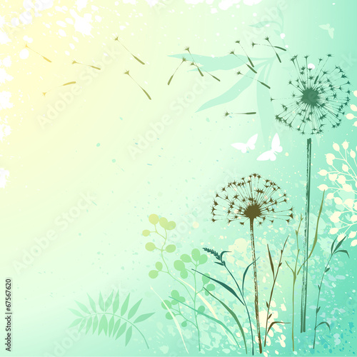  Fresh Dandelion Background