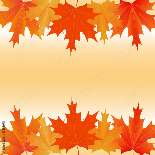 Vector: maple leaves autumnal background maple leaves autumnal background