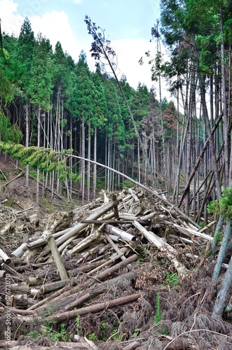 Photo: 土砂崩れ 土砂崩れ