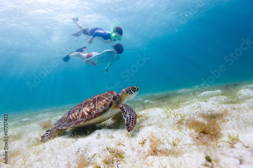 Photo: Family snorkeling with sea turtle Family snorkeling with sea turtle