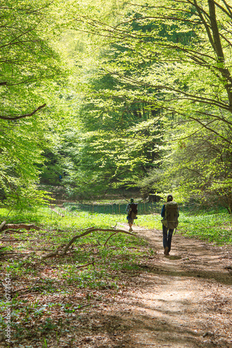 Photo: Hike in deep forest Hike in deep forest