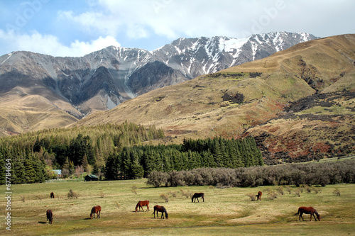 Photo: New Zealand scenery New Zealand scenery