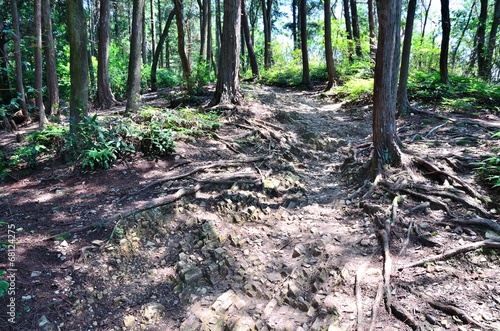 Photo: 大文字山 大文字山