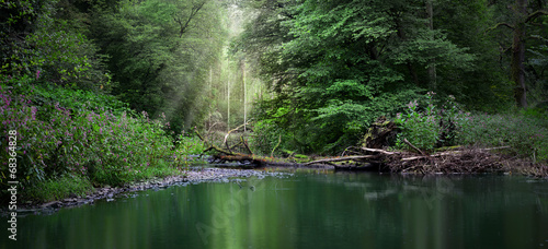 Photo: Flusslandschaft Flusslandschaft