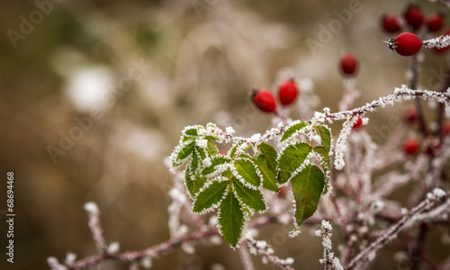 Photo: eglantine eglantine