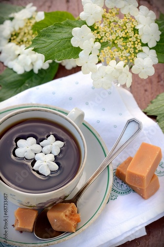 Photo: Cup of tea and flowers Cup of tea and flowers