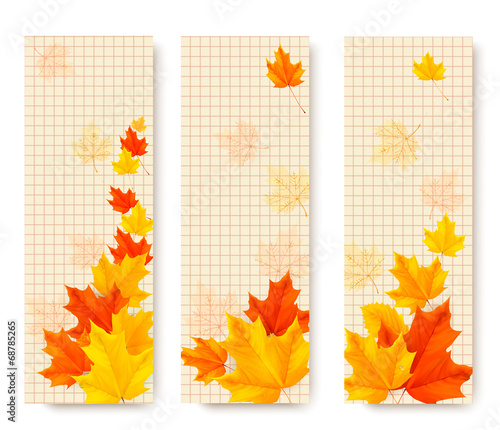 Vector: Three autumn banners with color leaves. Vector Three autumn banners with color leaves. Vector