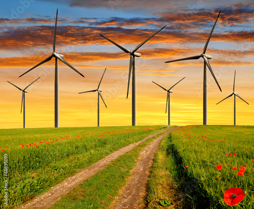 Plakat Dirt road in the wheat fields with wind turbines in the sunset