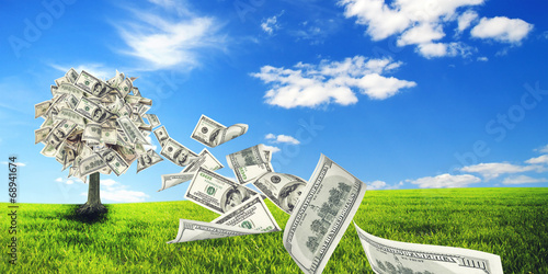 Photo: Money tree Money tree