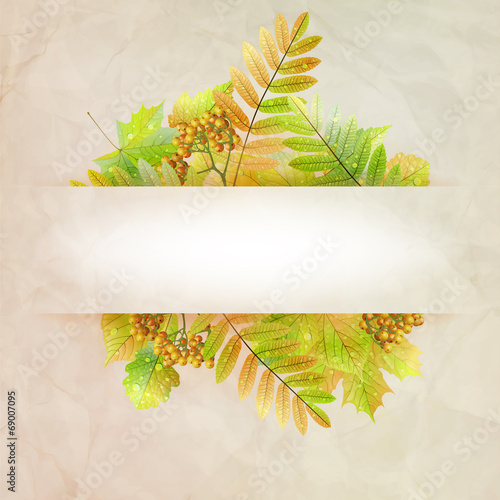 Vector: Autumn abstract background with colorful leafs. Autumn abstract background with colorful leafs.