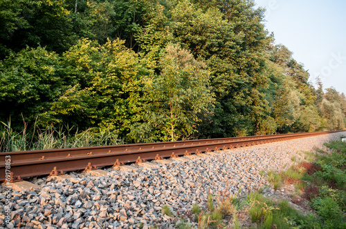 Photo: railroad next to the forrest railroad next to the forrest