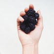 berries berries