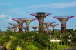 Iron Supertrees in Gardens by the Bay in Singapore Iron Supertrees in Gardens by the Bay in Singapore