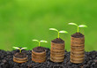 trees growing on coins / csr trees growing on coins / csr