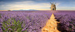 France - Provence France - Provence