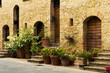 Doors and plants in an old town from Tuscany Doors and plants in an old town from Tuscany