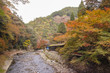 嵐山 高雄 嵐山 高雄