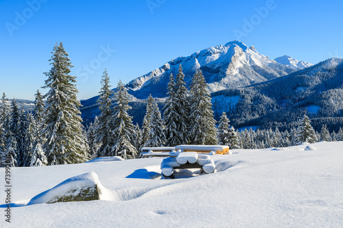 Fototapeta Winter landscape of Rusinowa polana, Tatra Mountains, Poland