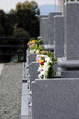 Cemetery-7 Cemetery-7
