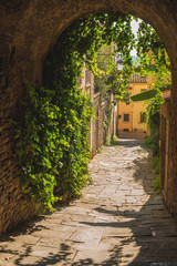 Old streets of greenery a medieval Tuscan town.