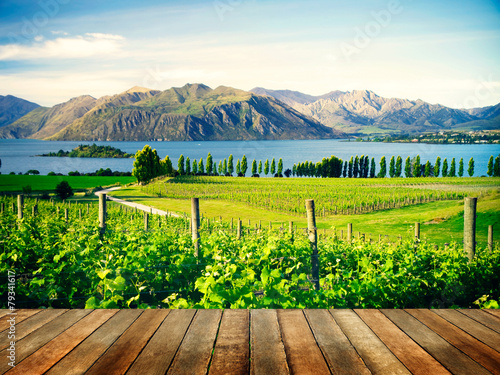 Beautiful Nature Countryside In New Zealand Concept