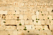 Western wall - the main jewish sacred place of Jerusalem . Western wall - the main jewish sacred place of Jerusalem .