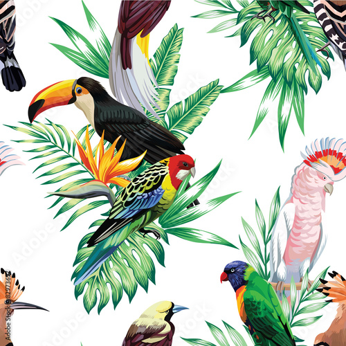 Fototapeta tropical birds and palm leaves pattern