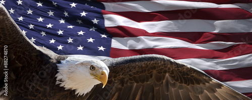 patriotic eagle taking wing in front of US flag