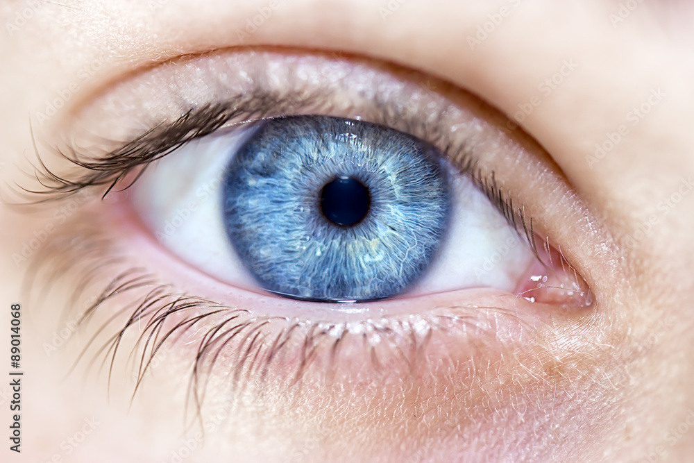insightful look blue eyes boy