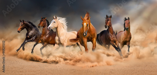 Obraz na płótnie Horse herd run in desert sand storm against dramatic sky