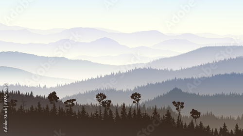 Fototapeta Horizontal illustration of morning misty in forest hills.