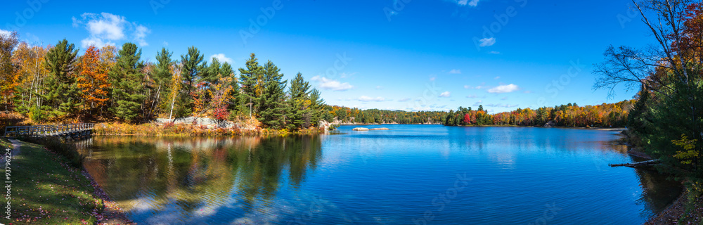 View of colorful trees during Autumn season at Killarney Provincial Park Canada
