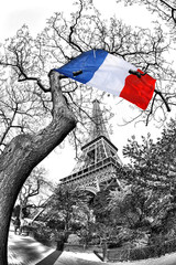 Eiffel Tower with French flag flying on the tree in France