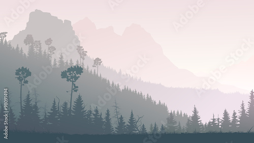 Fototapeta Horizontal illustration of twilight in forest hills.