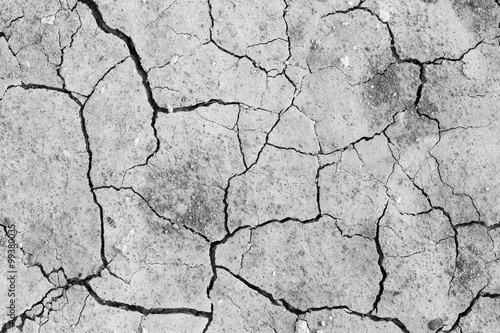 Fototapeta soil drought cracked texture