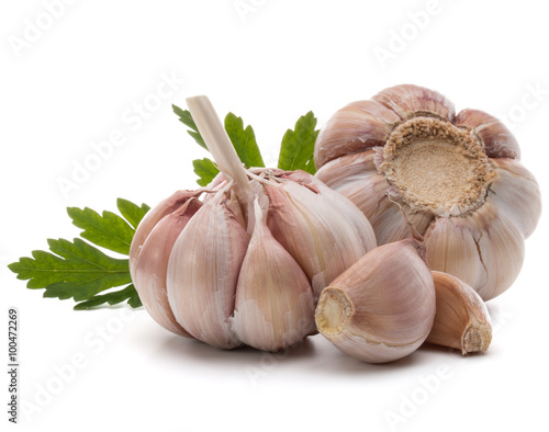 Garlic bulb and parsley herb still life isolated on white backgr