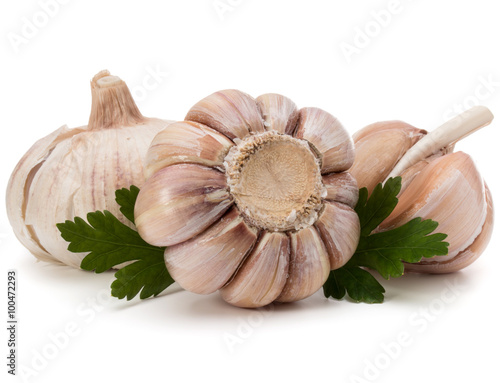 Garlic bulb and parsley herb still life isolated on white backgr