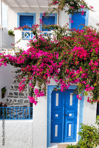 Obraz w ramie Traditional greek house with flowers in Oia village on Santorini island, Greece