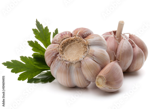 Garlic bulb and parsley herb still life isolated on white backgr