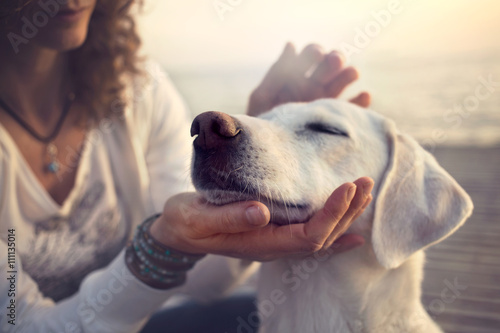 owner caressing gently her dog