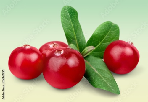 Cranberry.