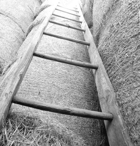 wood ladder in the barn of the farm